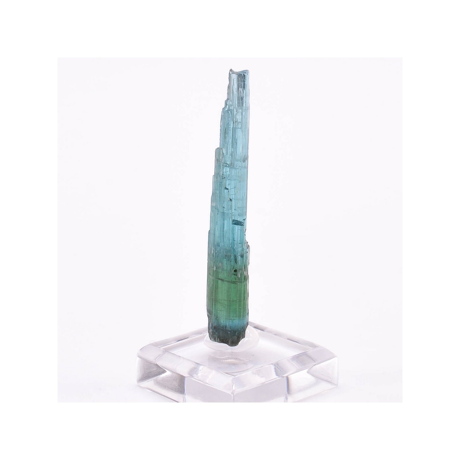 Tourmaline - elbaïte var. indicolite - Mine Santa Rosa, Itambacuri, Minas Gerais, Brésil