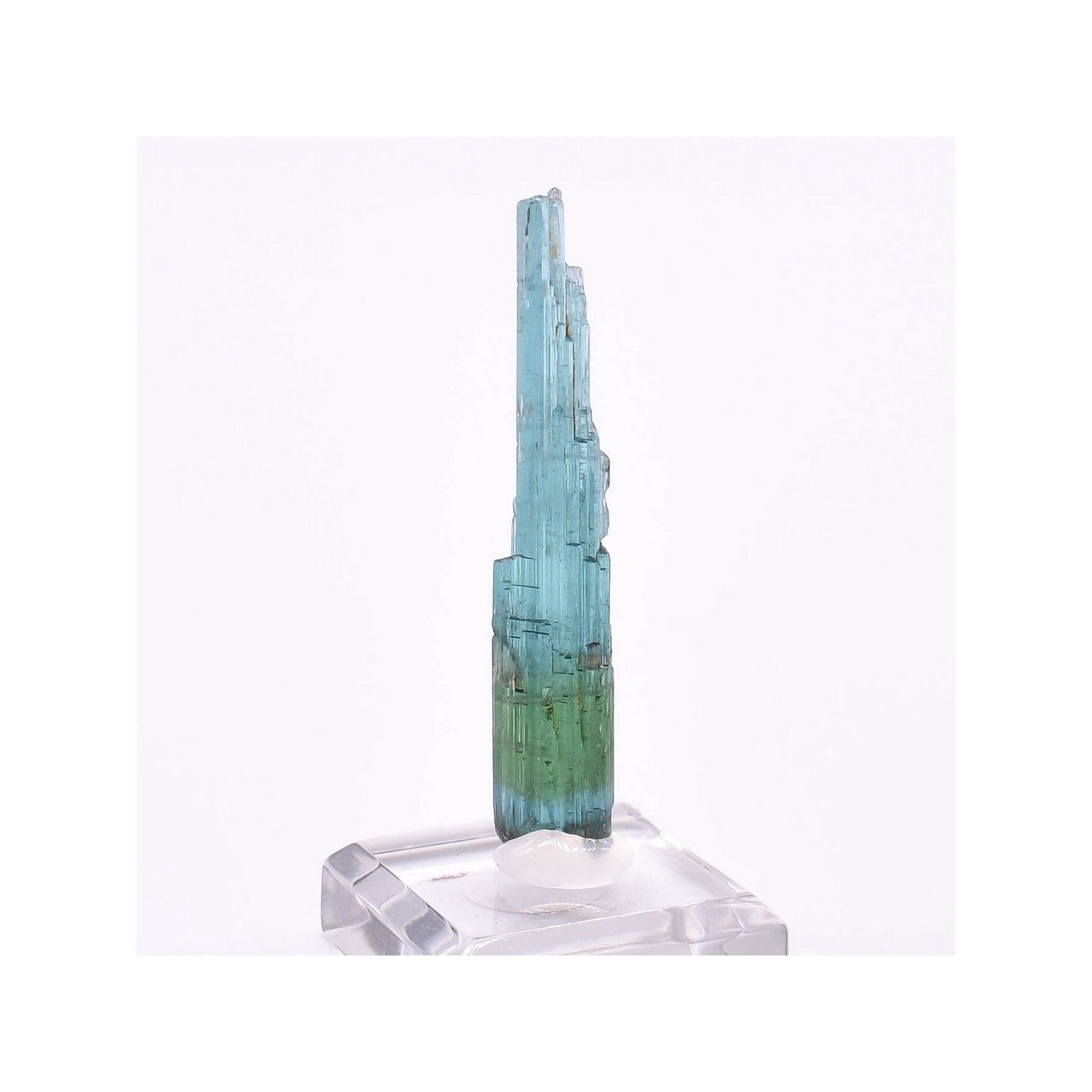 Tourmaline - elbaïte var. indicolite - Mine Santa Rosa, Itambacuri, Minas Gerais, Brésil