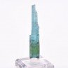 Tourmaline - elbaïte var. indicolite - Mine Santa Rosa, Itambacuri, Minas Gerais, Brésil