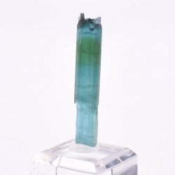 Indicolite tourmaline - Santa Rosa mine, Itambacuri, Minas Gerais, Brazil