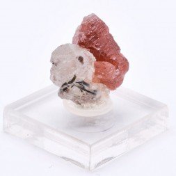 Spessartite garnet and quartz - Navegadora mine, Minas Gerais, Brazil