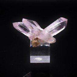 Amethyst - Veracruz, Mexico