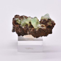 Adamite - Ojuela mine, Mexico
