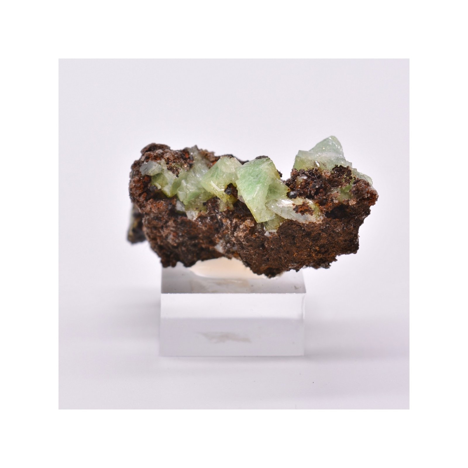 Adamite - Mine Ojuela, Mexique