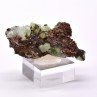 Adamite - Mine Ojuela, Mexique