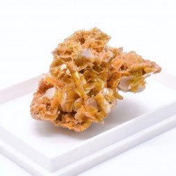 Wulfénite - San Francisco mine, Sonora, Mexico