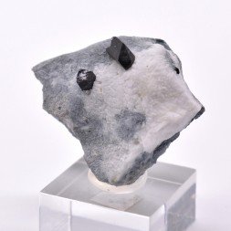 Neptunite - San Benito, California, USA
