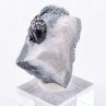 Neptunite - San Bénito, Californie, Etats-Unis