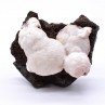 Thomsonite - Aurangabad, Maharashtra, Inde