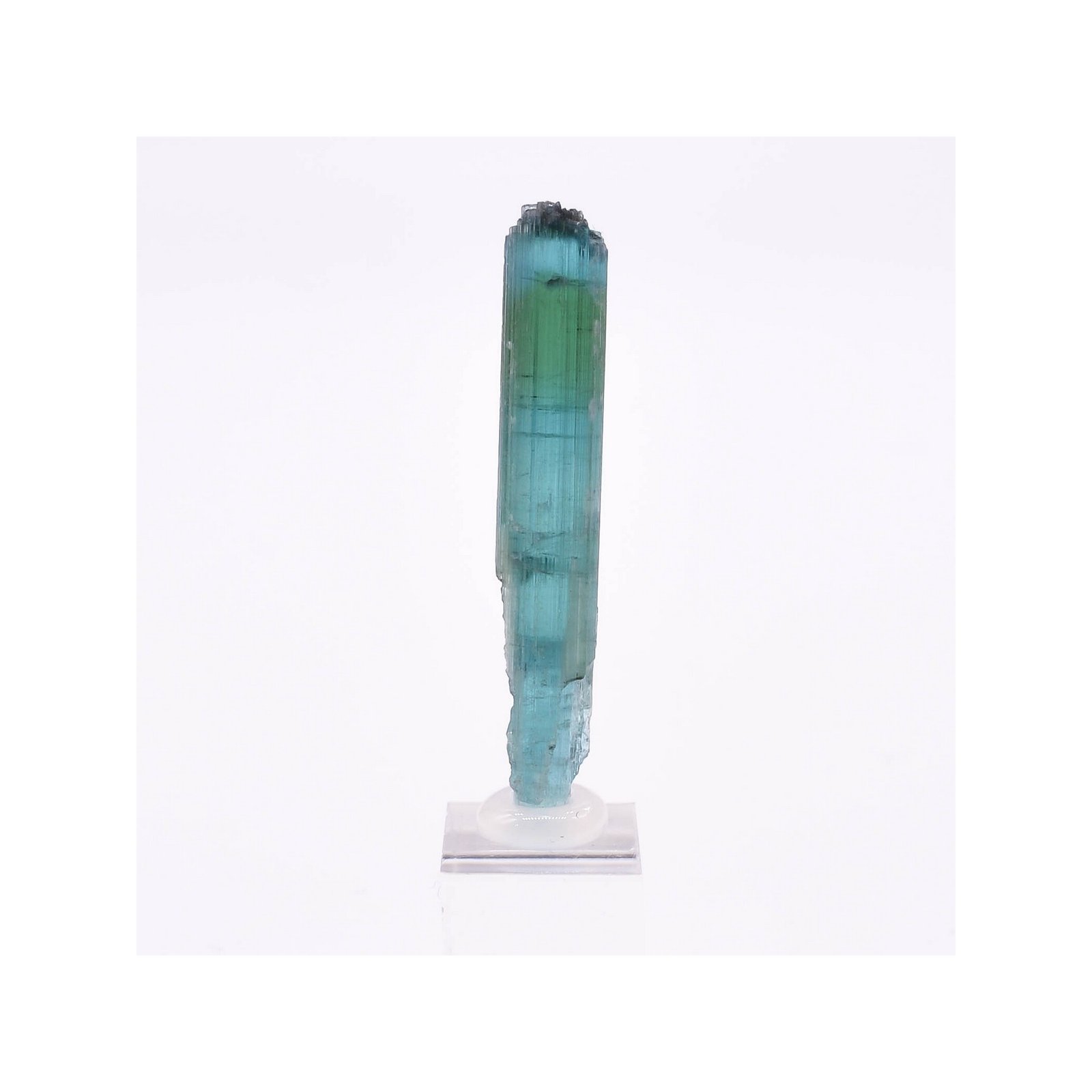 Tourmaline - elbaïte var. indicolite - Mine Santa Rosa, Itambacuri, Minas Gerais, Brésil
