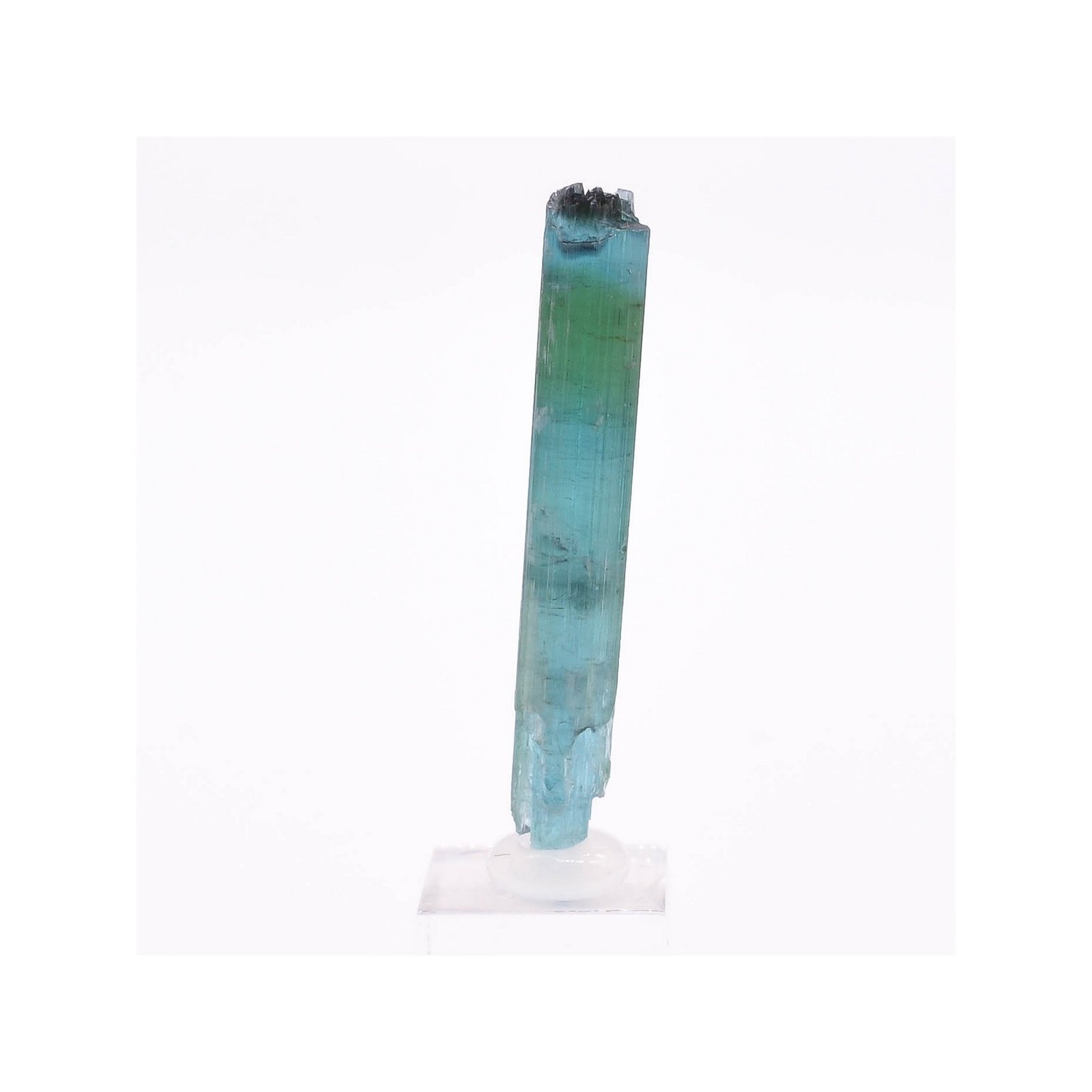 Tourmaline - elbaïte var. indicolite - Mine Santa Rosa, Itambacuri, Minas Gerais, Brésil