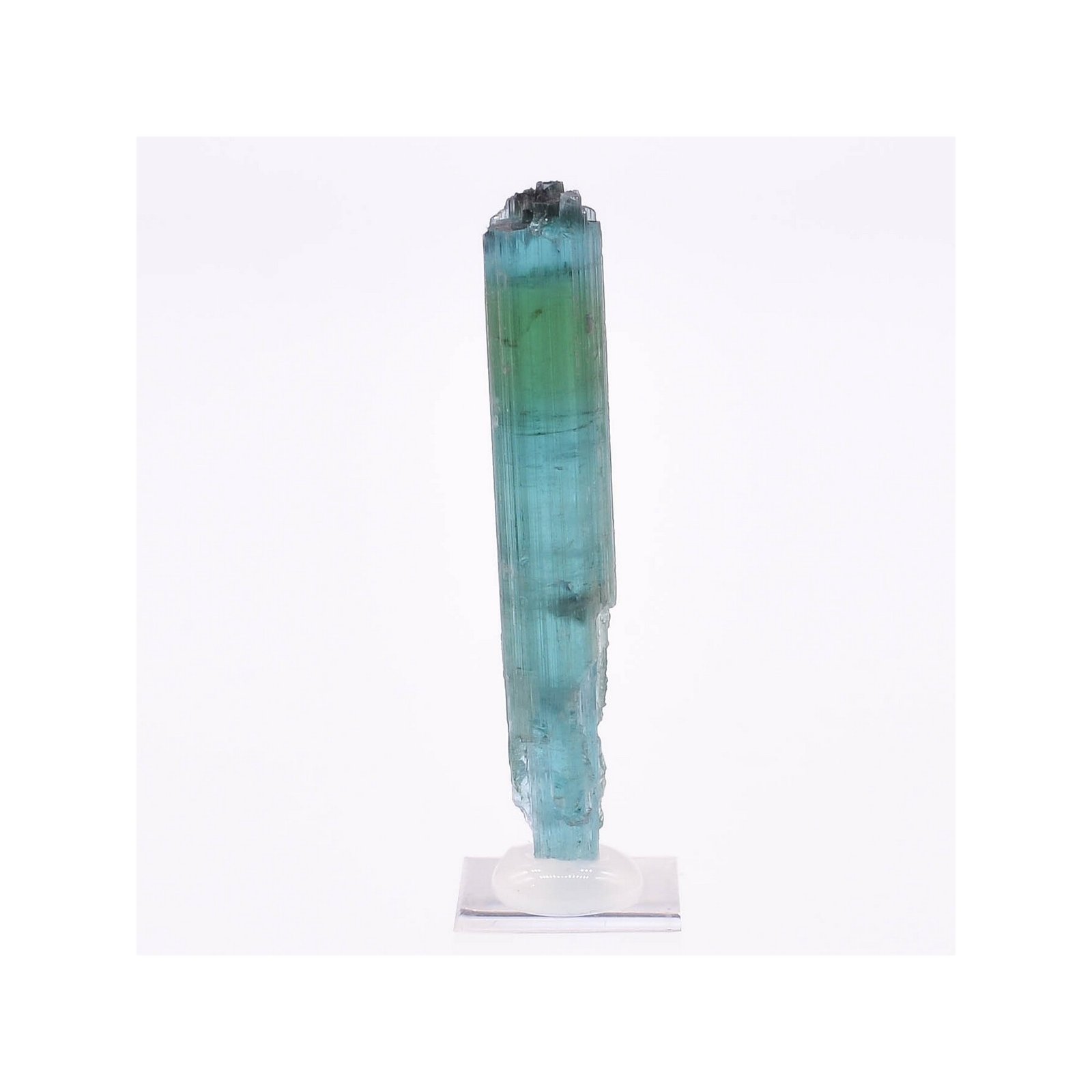 Tourmaline - elbaïte var. indicolite - Mine Santa Rosa, Itambacuri, Minas Gerais, Brésil