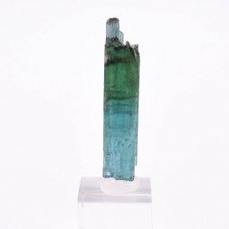 Tourmaline - elbaïte var. indicolite - Mine Santa Rosa, Itambacuri, Minas Gerais, Brésil