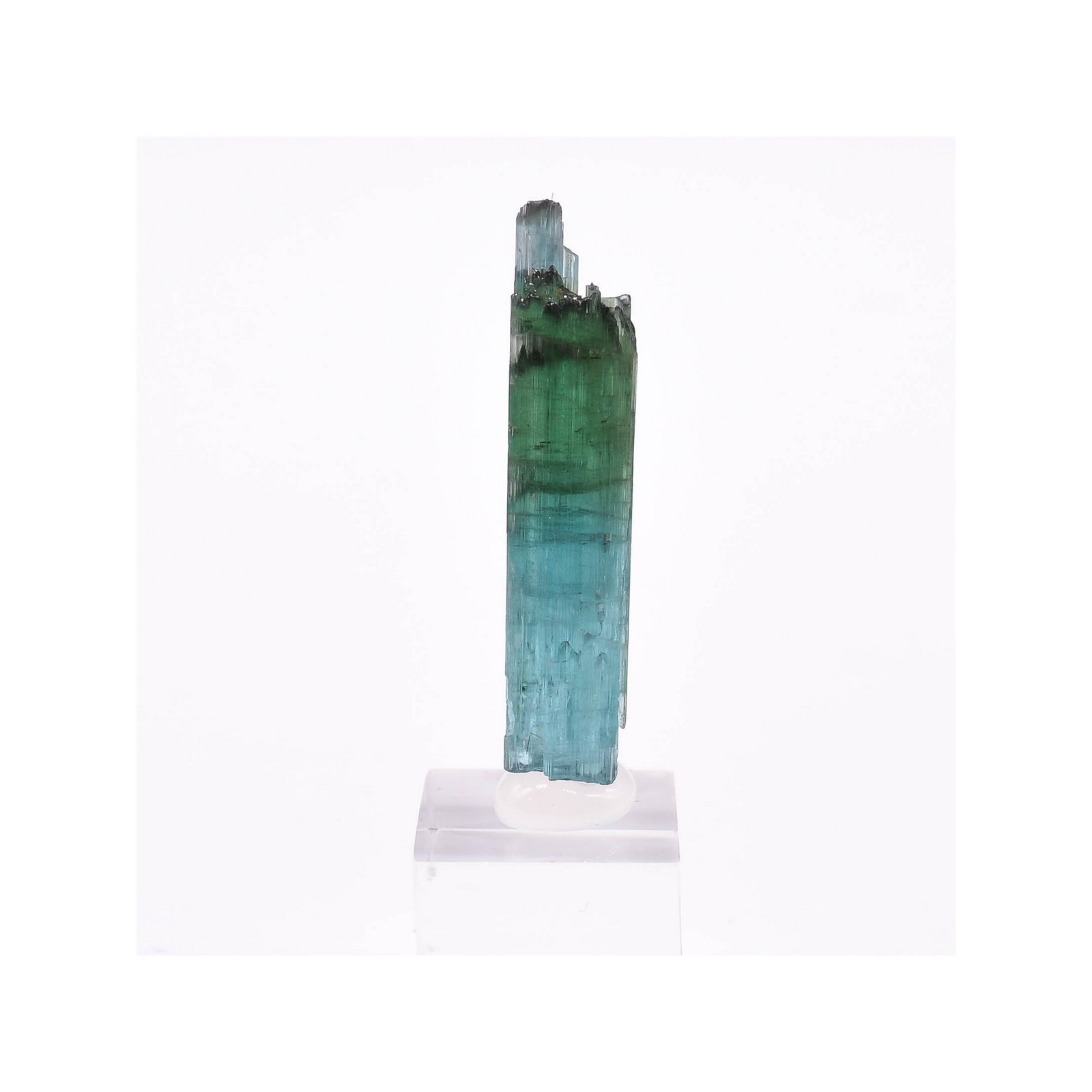 Tourmaline - elbaïte var. indicolite - Mine Santa Rosa, Itambacuri, Minas Gerais, Brésil
