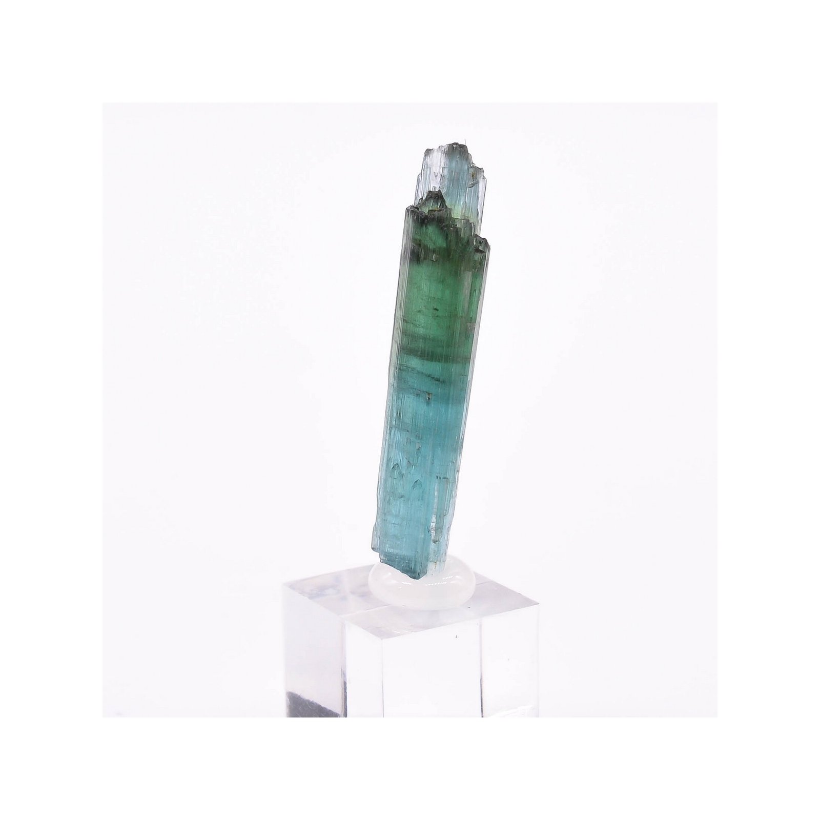 Tourmaline - elbaïte var. indicolite - Mine Santa Rosa, Itambacuri, Minas Gerais, Brésil