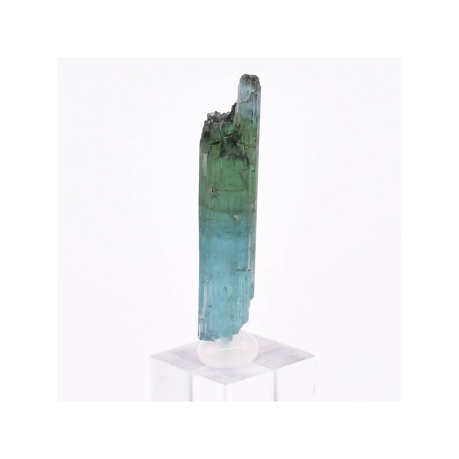 Tourmaline - elbaïte var. indicolite - Mine Santa Rosa, Itambacuri, Minas Gerais, Brésil