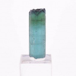 Tourmaline - elbaïte var. indicolite - Mine Santa Rosa, Itambacuri, Minas Gerais, Brésil