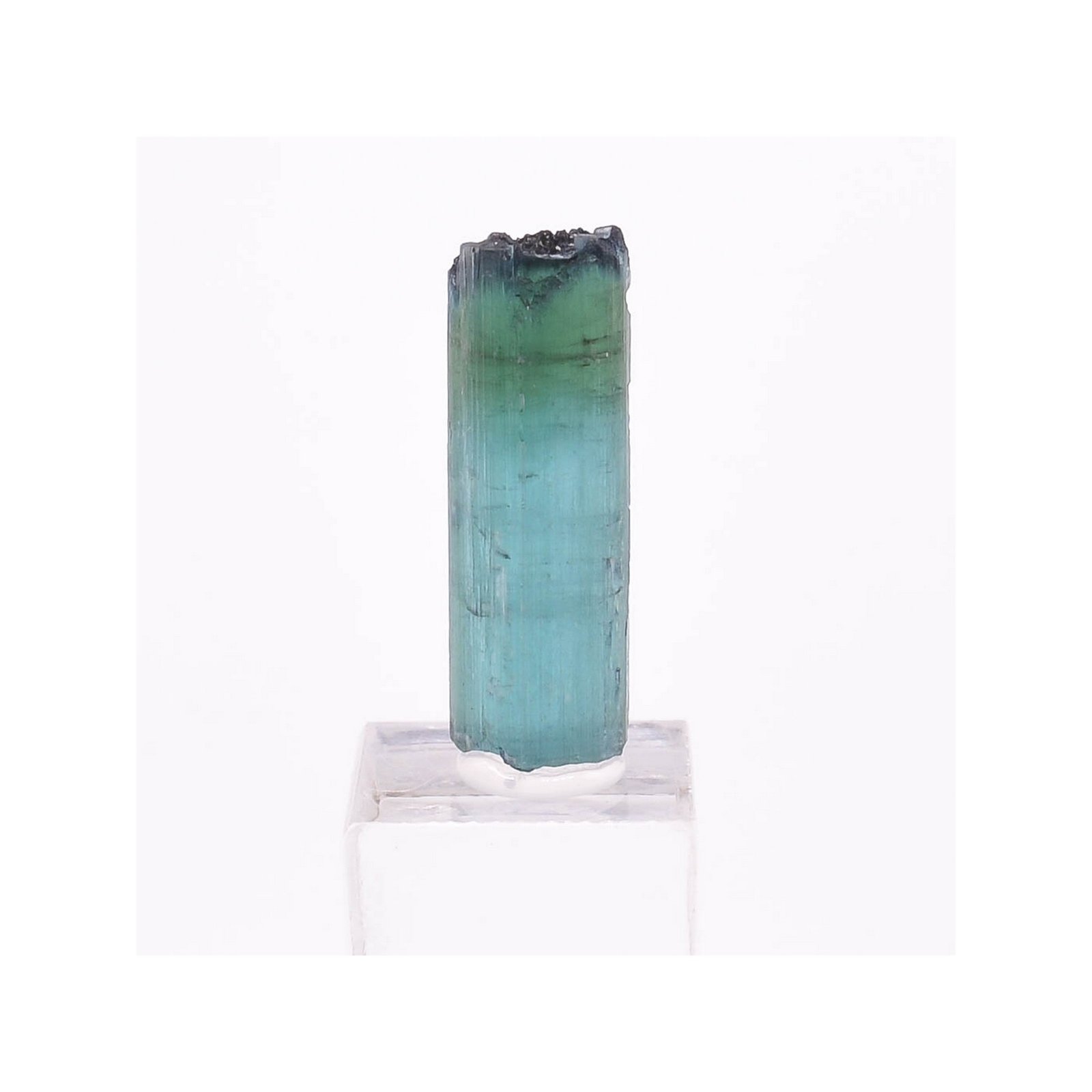 Tourmaline - elbaïte var. indicolite - Mine Santa Rosa, Itambacuri, Minas Gerais, Brésil