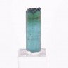 Tourmaline - elbaïte var. indicolite - Mine Santa Rosa, Itambacuri, Minas Gerais, Brésil