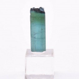 Tourmaline - elbaïte var. indicolite - Mine Santa Rosa, Itambacuri, Minas Gerais, Brésil