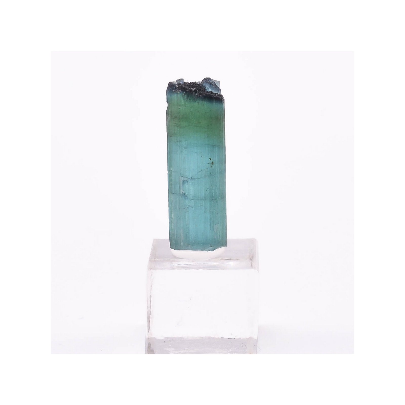 Tourmaline - elbaïte var. indicolite - Mine Santa Rosa, Itambacuri, Minas Gerais, Brésil