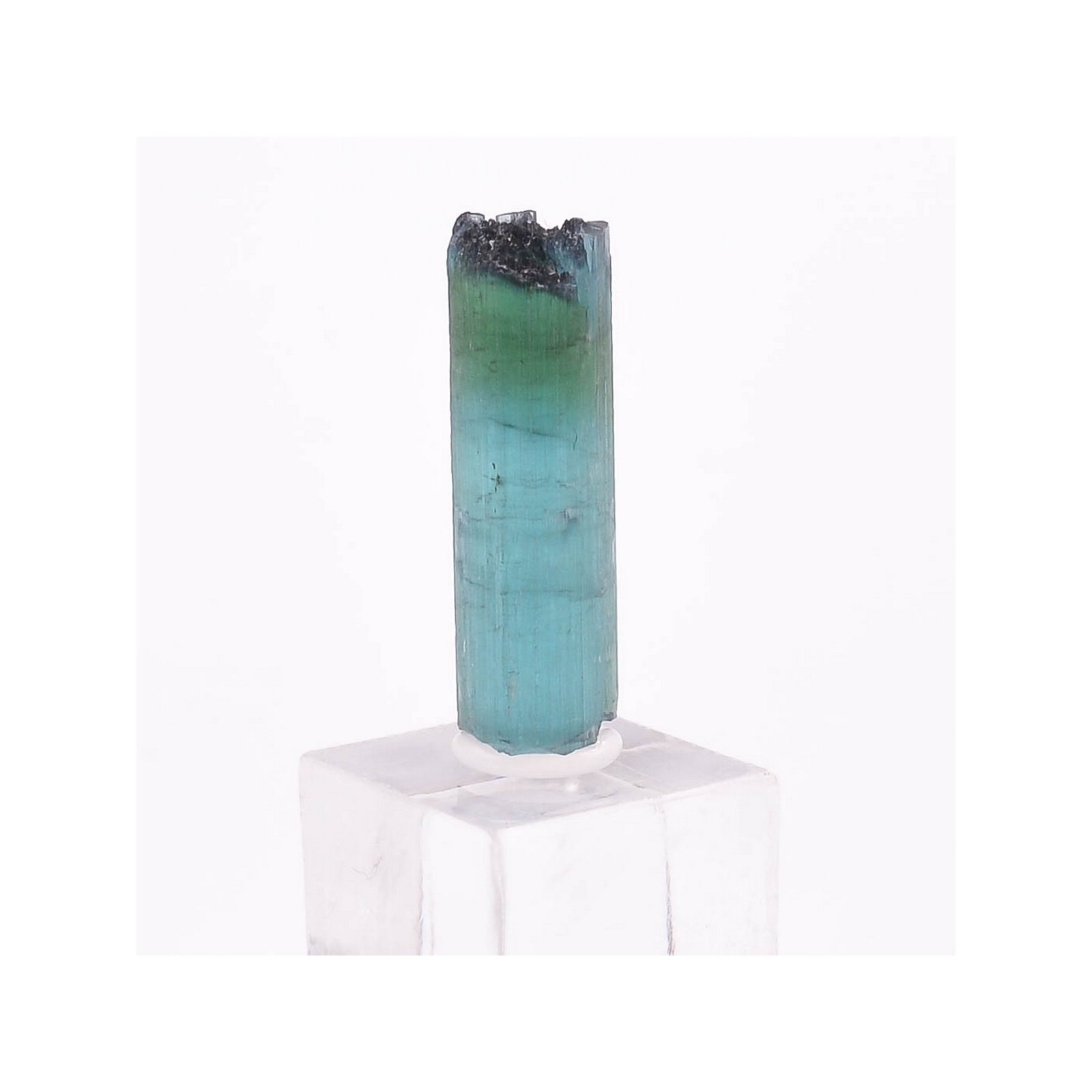 Tourmaline - elbaïte var. indicolite - Mine Santa Rosa, Itambacuri, Minas Gerais, Brésil