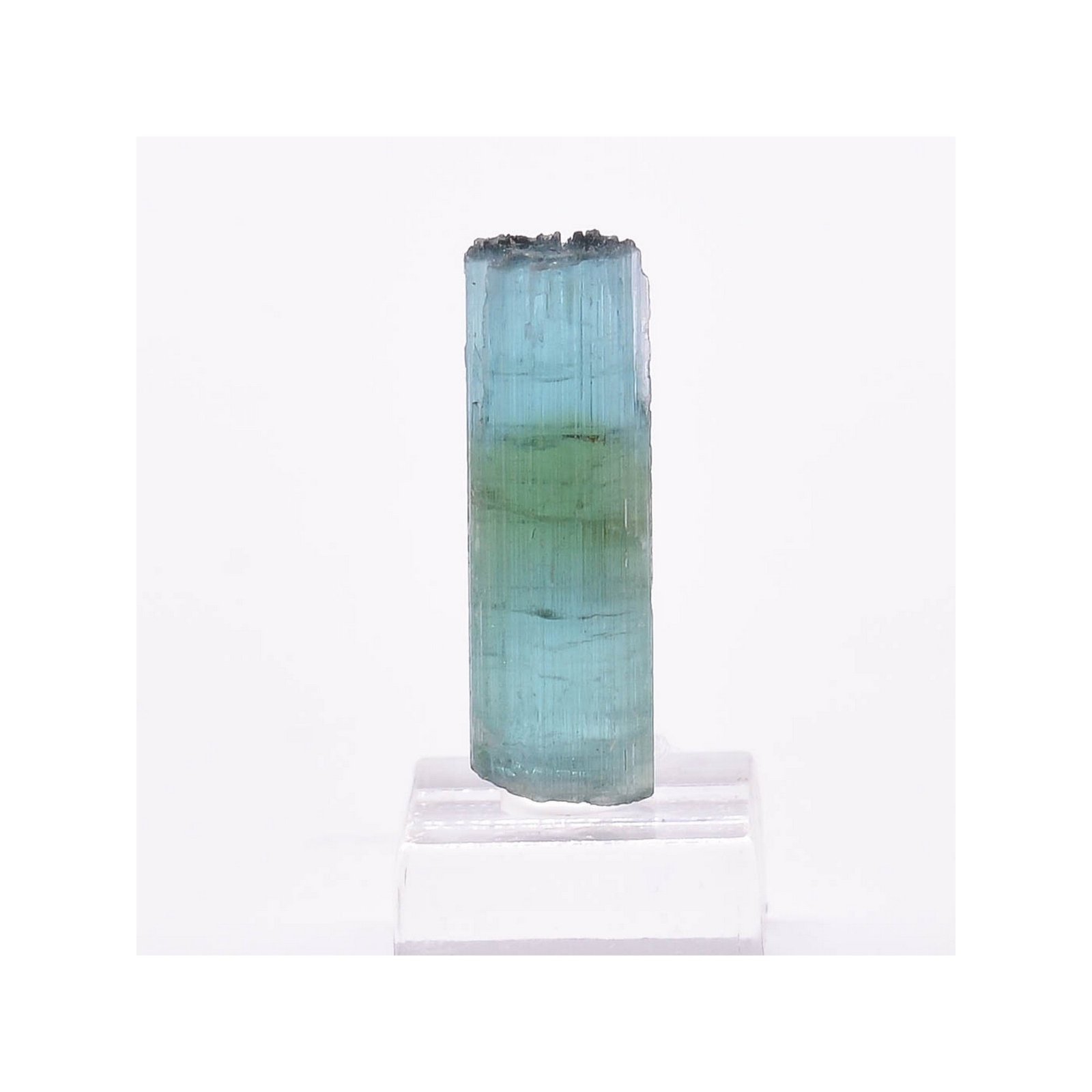 Tourmaline - elbaïte var. indicolite - Mine Santa Rosa, Itambacuri, Minas Gerais, Brésil
