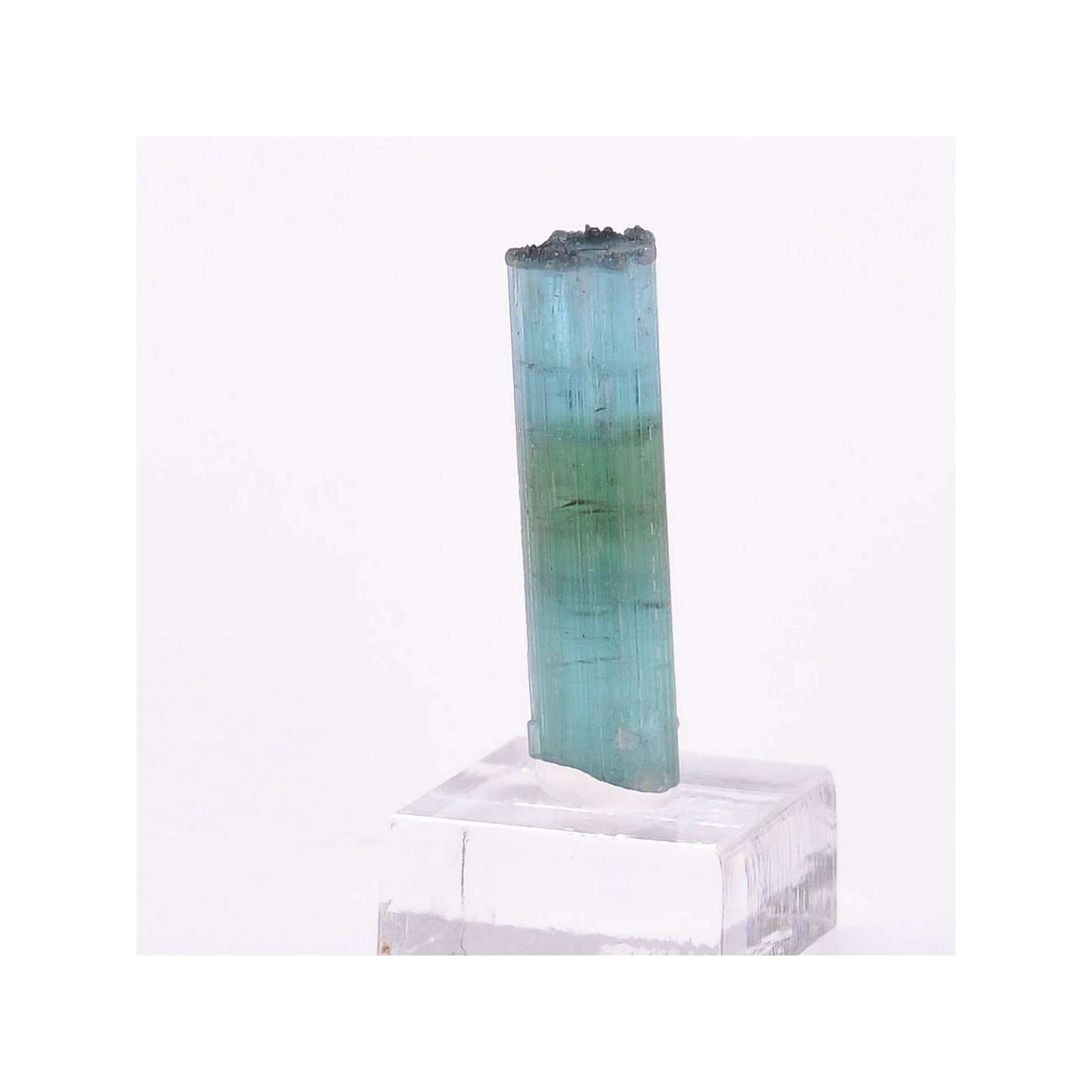 Tourmaline - elbaïte var. indicolite - Mine Santa Rosa, Itambacuri, Minas Gerais, Brésil