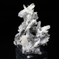 Quartz and galena, Madan, Bulgaria