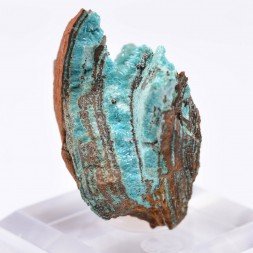 Aurichalcite - Mine Ojuela, Mapimi, Durango, Mexique