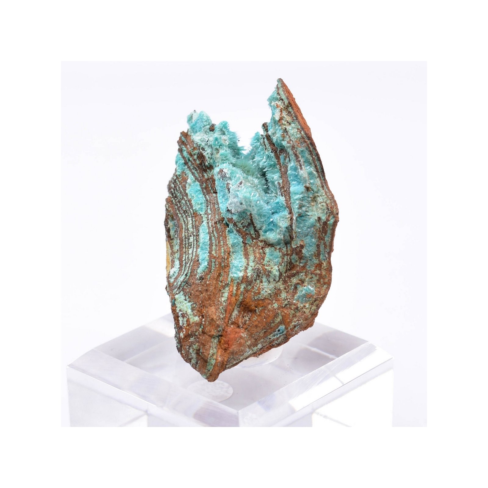 Aurichalcite - Mine Ojuela, Mapimi, Durango, Mexique