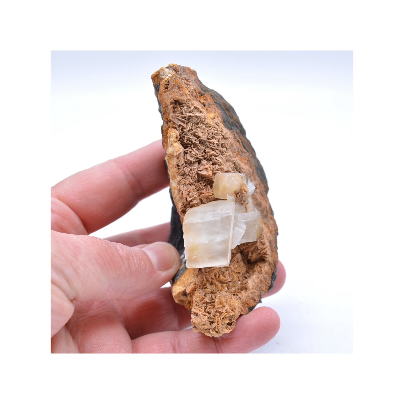 Calcite sur sidérite - Saint Pons, Alpes-de-Haute-Provence, France