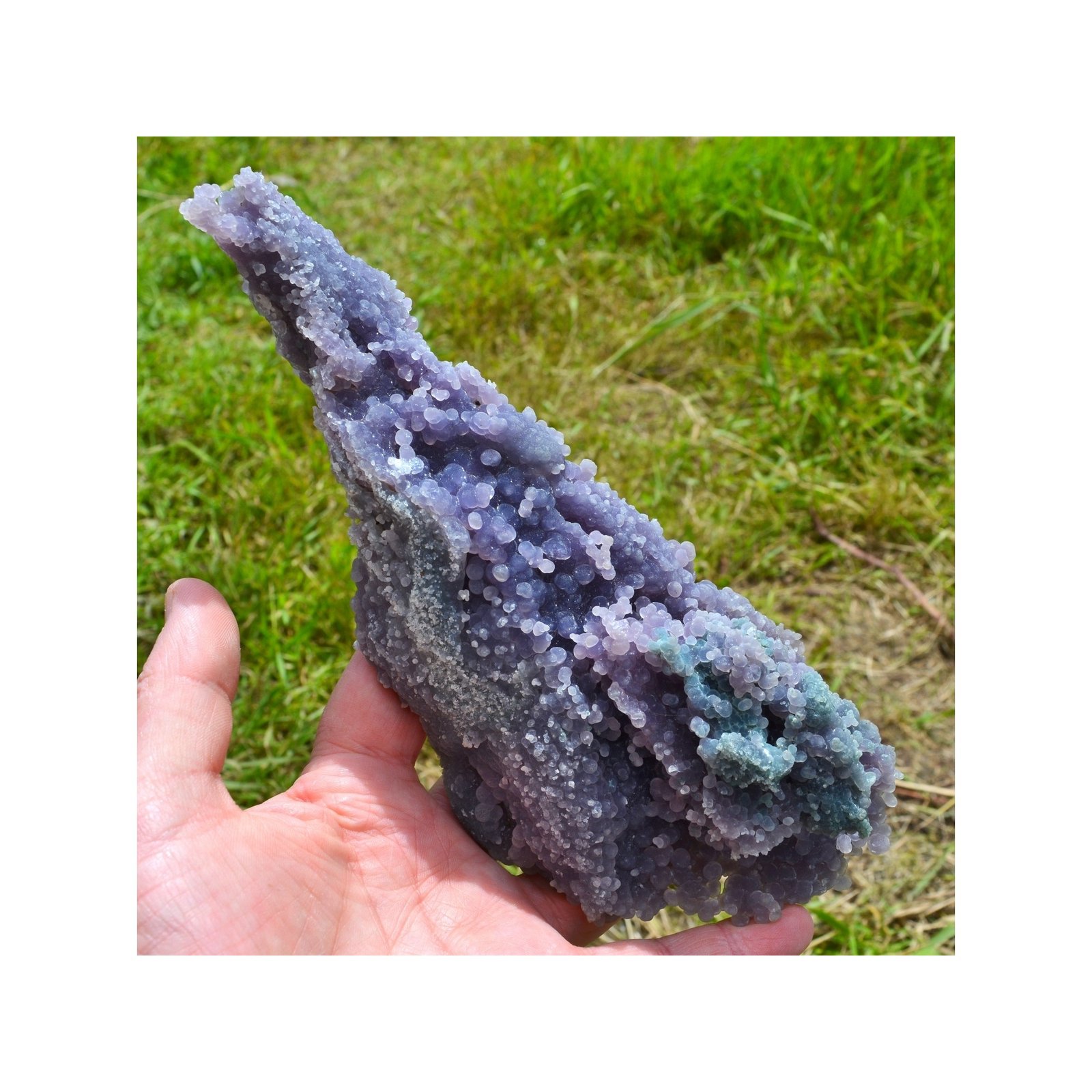 Améthyste botryoïdale - Calcédoine grappe - Mamuju, île Célèbes, Indonésie