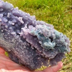 Améthyste botryoïdale - Calcédoine grappe - Mamuju, île Célèbes, Indonésie