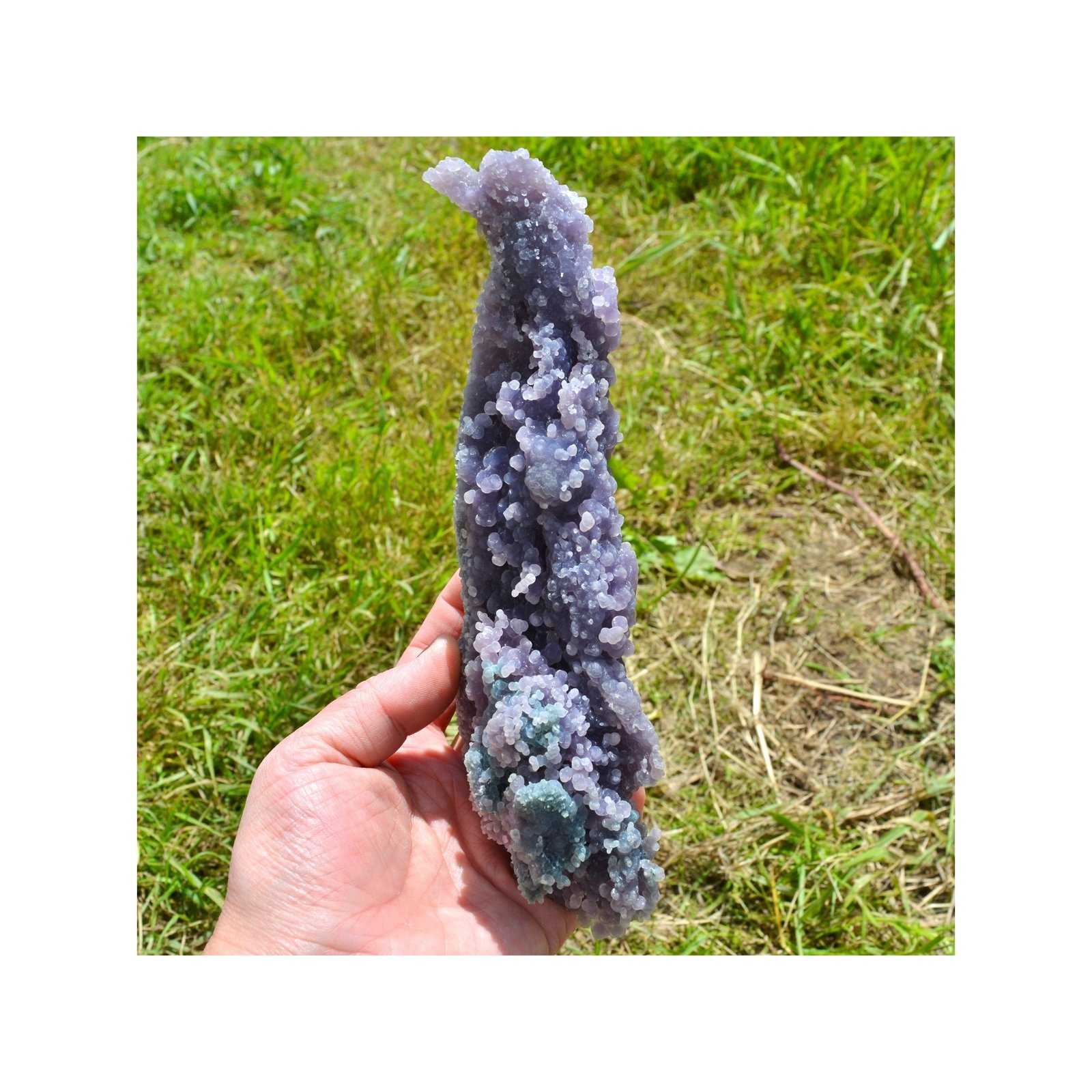 Améthyste botryoïdale - Calcédoine grappe - Mamuju, île Célèbes, Indonésie