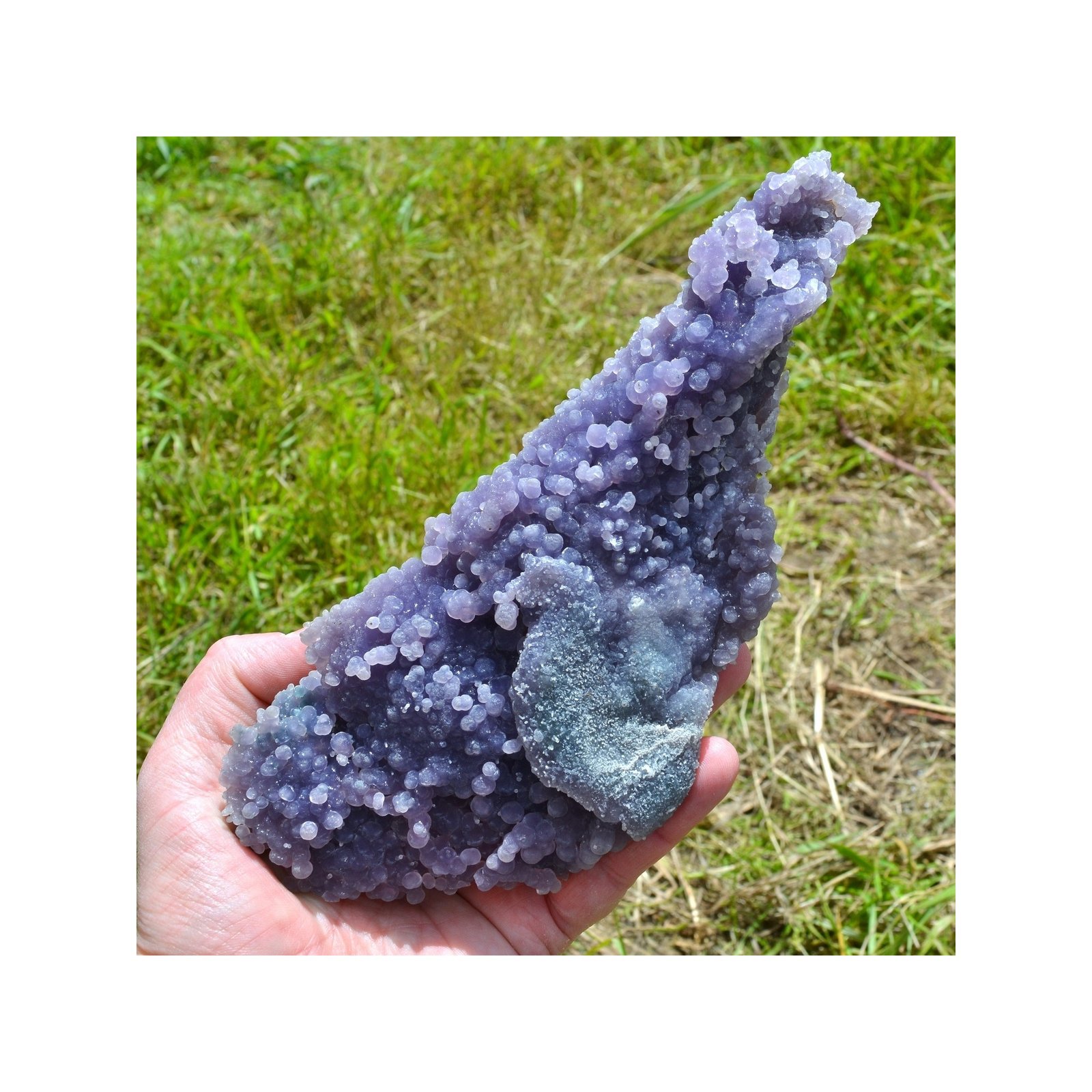 Améthyste botryoïdale - Calcédoine grappe - Mamuju, île Célèbes, Indonésie