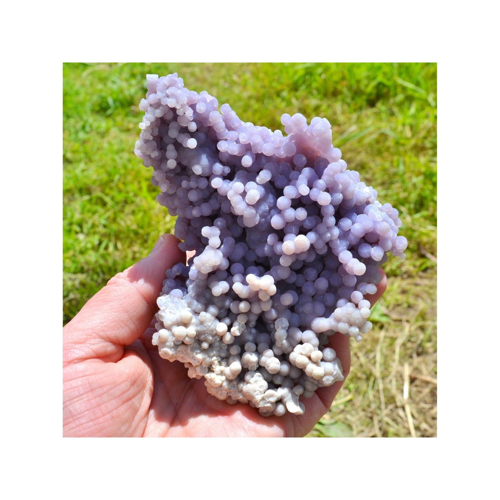 Améthyste botryoïdale - Calcédoine grappe - Mamuju, île Célèbes, Indonésie