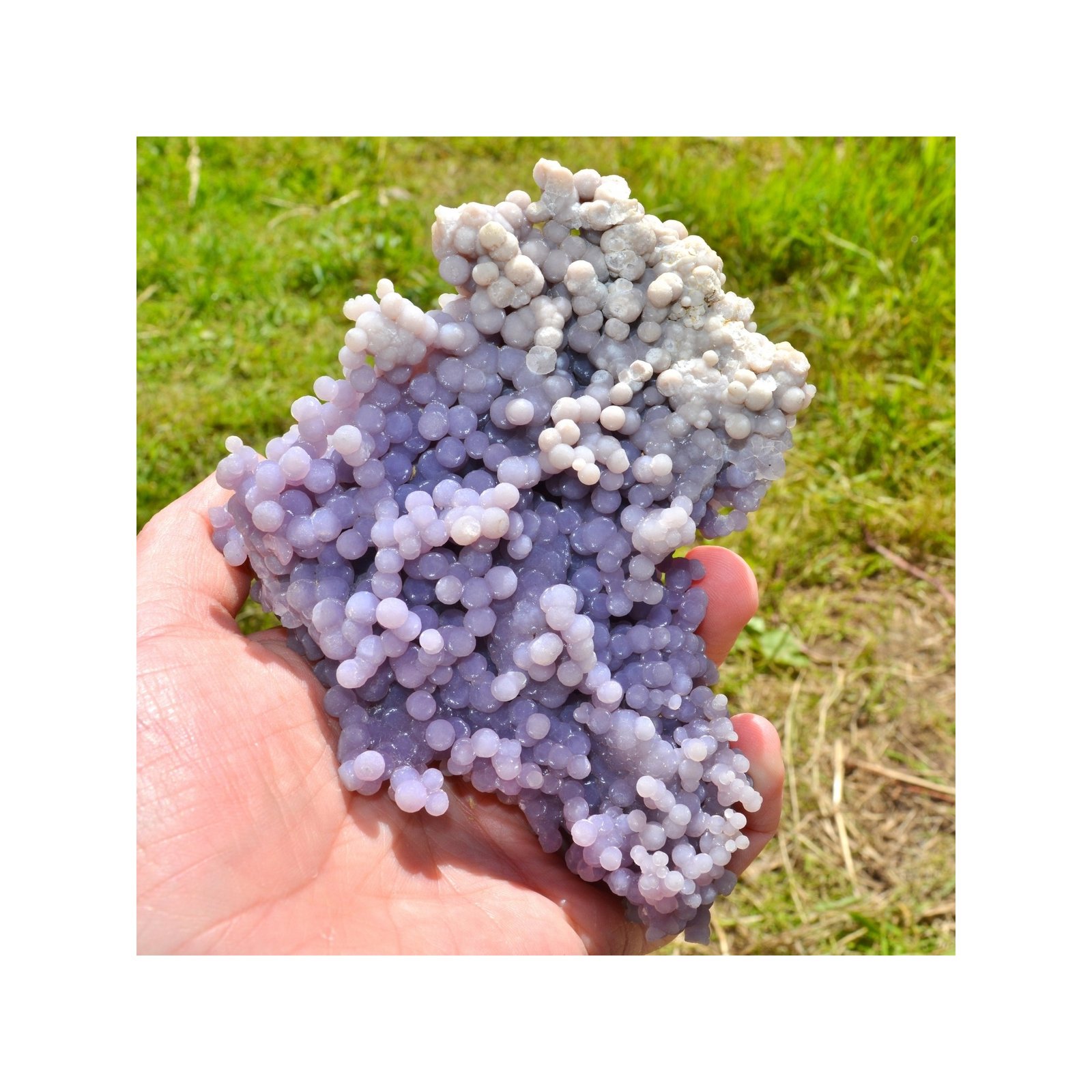 Améthyste botryoïdale - Calcédoine grappe - Mamuju, île Célèbes, Indonésie