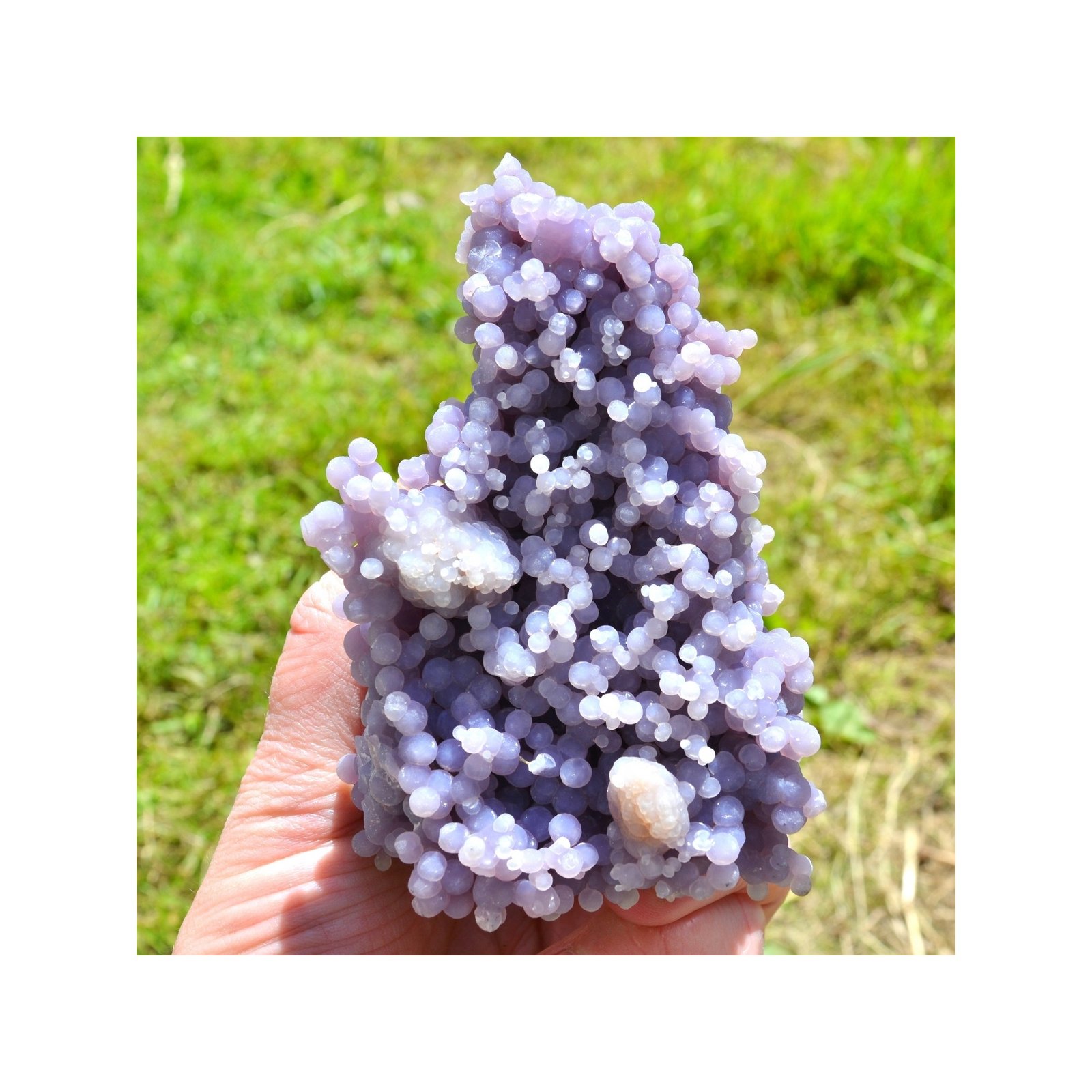 Améthyste botryoïdale - Calcédoine grappe - Mamuju, île Célèbes, Indonésie