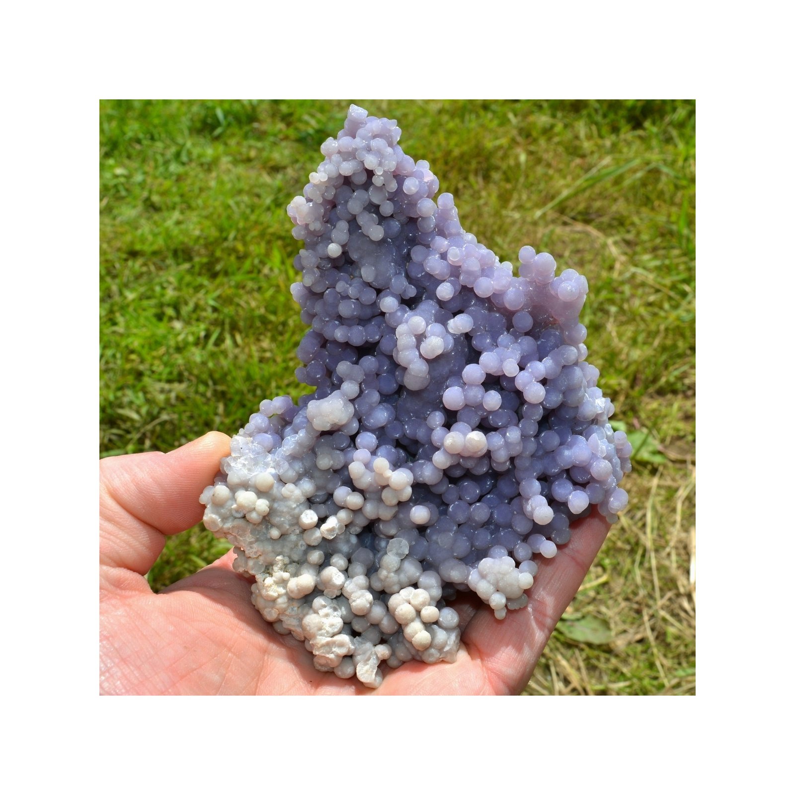 Améthyste botryoïdale - Calcédoine grappe - Mamuju, île Célèbes, Indonésie