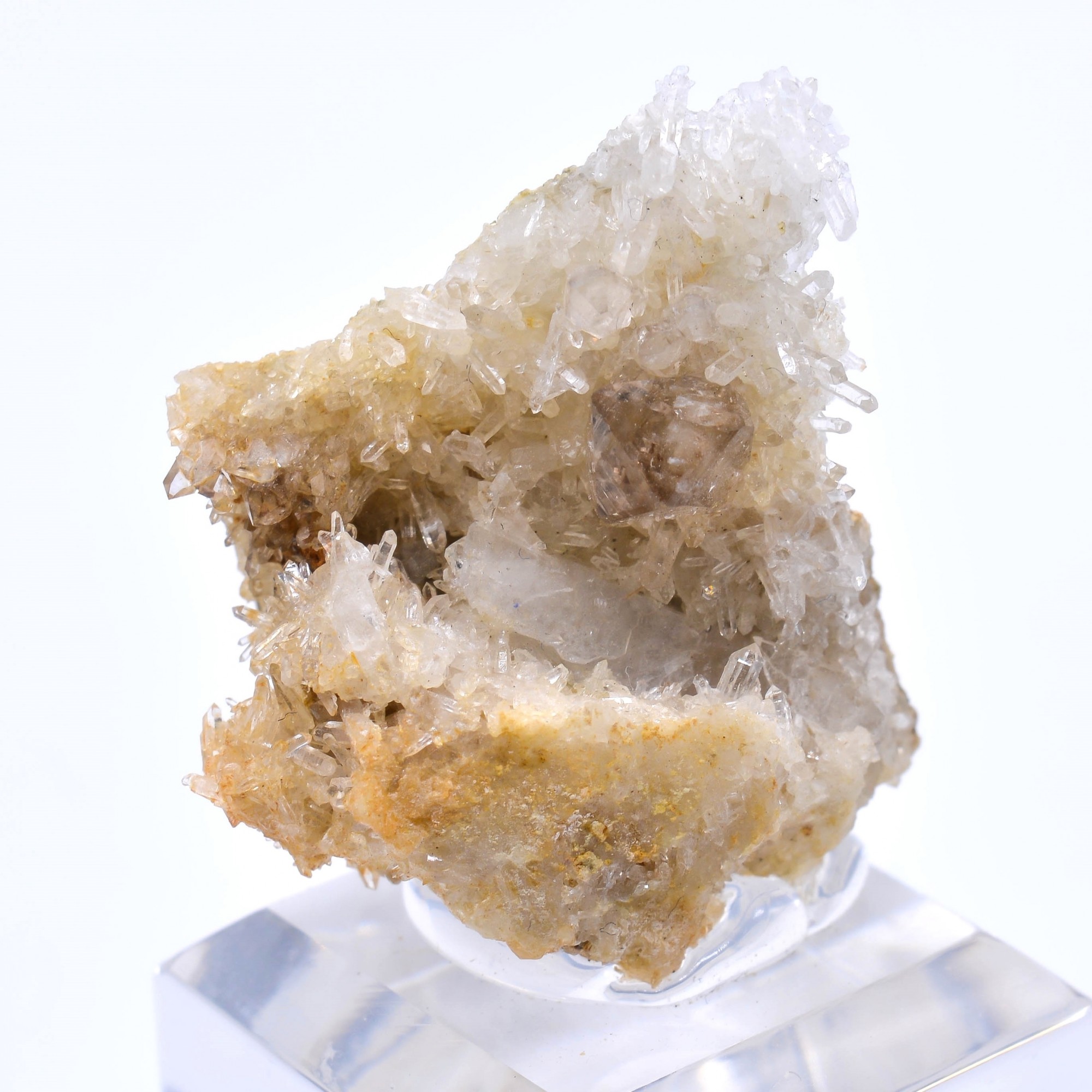 Quartz fumé - Rade de Brest, Finistère, France