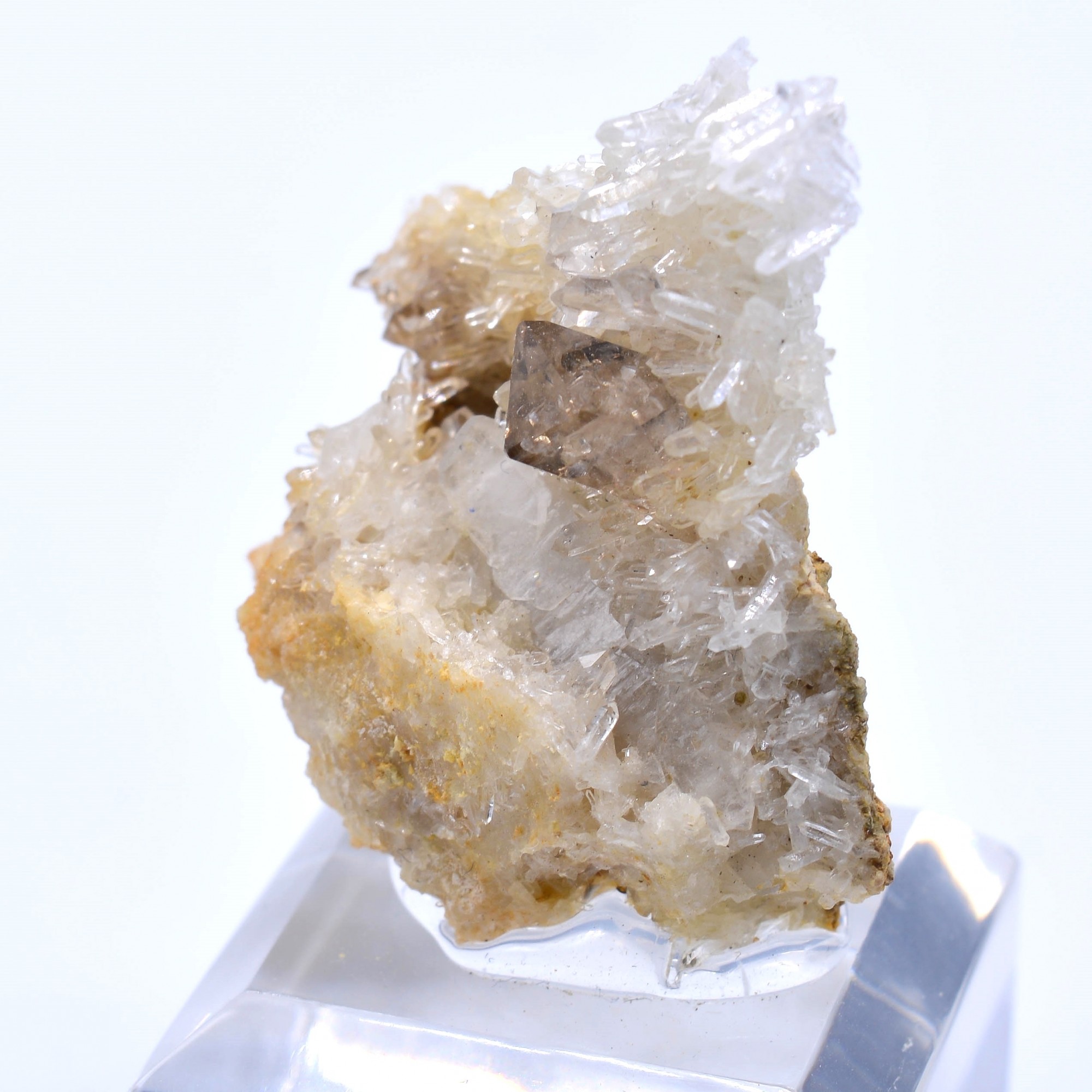 Quartz fumé - Rade de Brest, Finistère, France