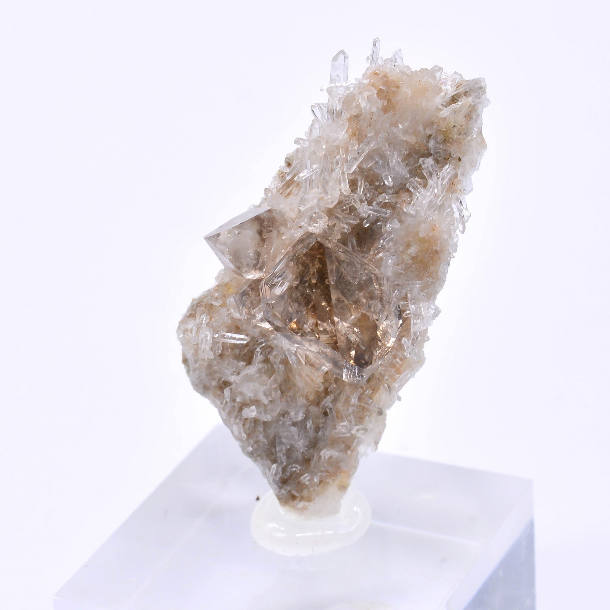 Quartz fumé - Rade de Brest, Finistère, France