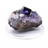 Fluorite anzononite - Ojuela mine, Mapimi, Durango, Mexico
