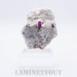 Rubis sur matrice, Vallée d'Hunza, Pakistan