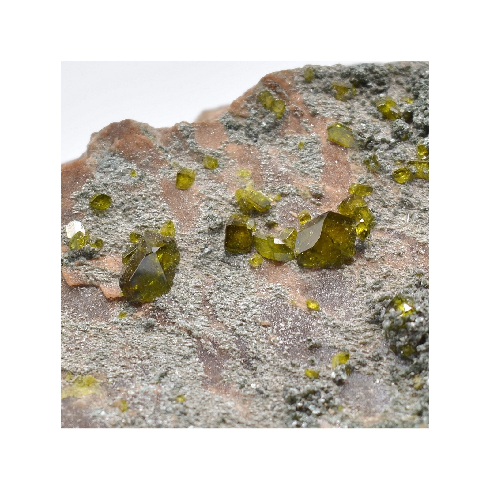 Epidote, clinochlore et grenat - Bellecombe, Val d'Aoste, Italie