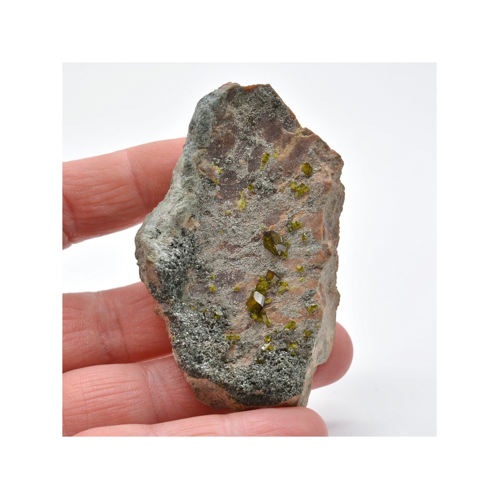 Epidote, clinochlore et grenat - Bellecombe, Val d'Aoste, Italie
