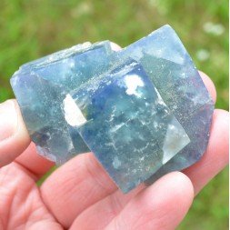 Changind color fluorite - El Hammam mine, Morocco