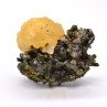 Stellerite et épidote - Diaboukara, Région de Kayes, Mali