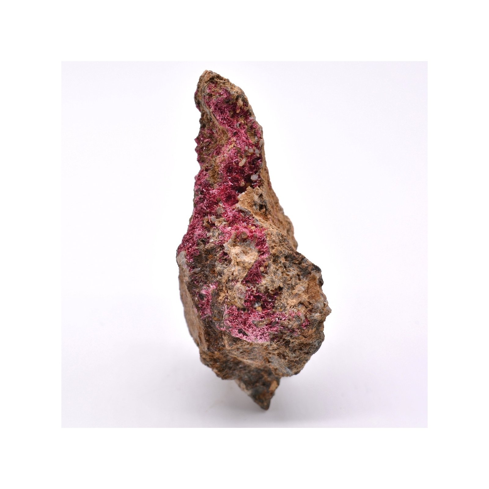 Erythrine - Bou-Azzer, Maroc